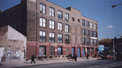 proteus gowanus