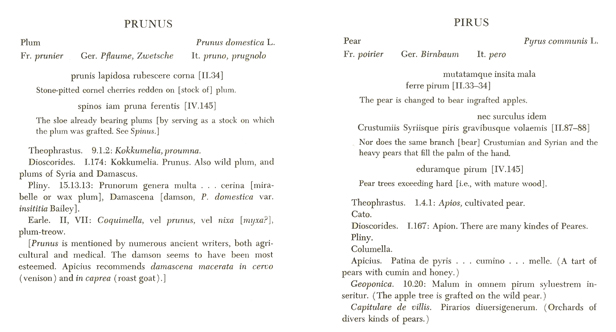 prunus and pirus